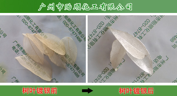 (sh)~y ǽy y W(xu)yˮ